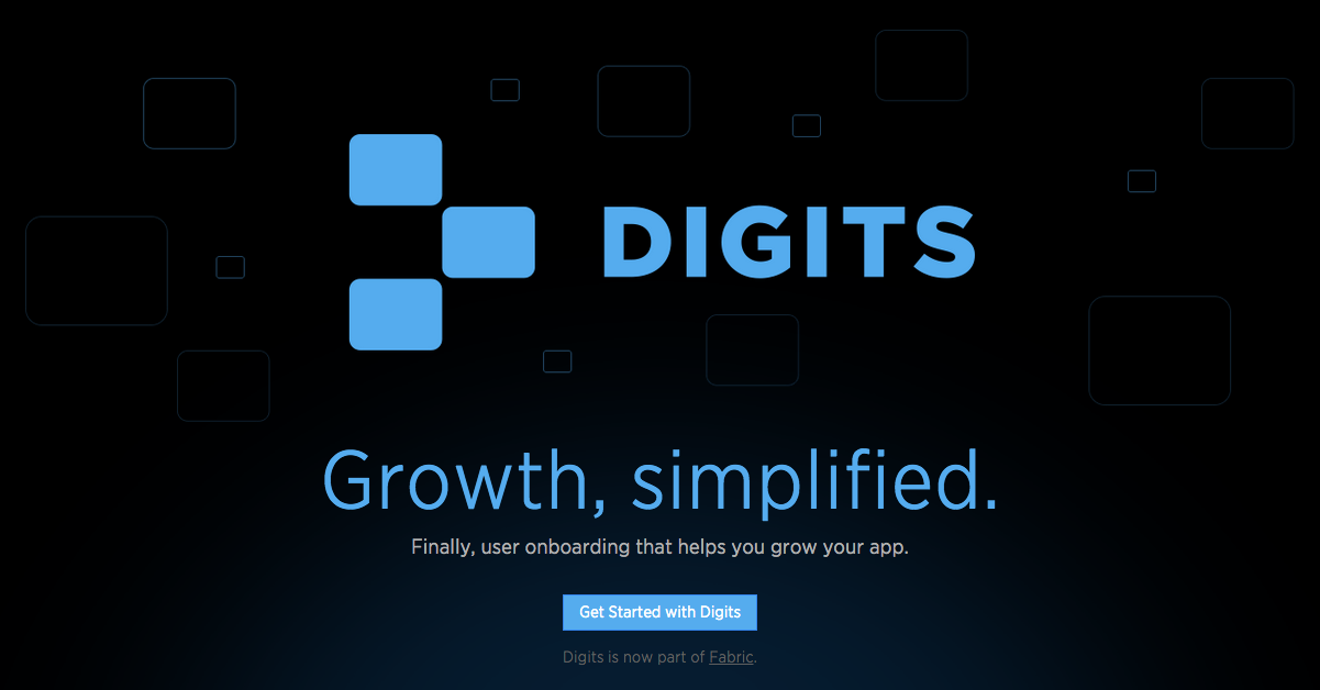 Fake Profile Example