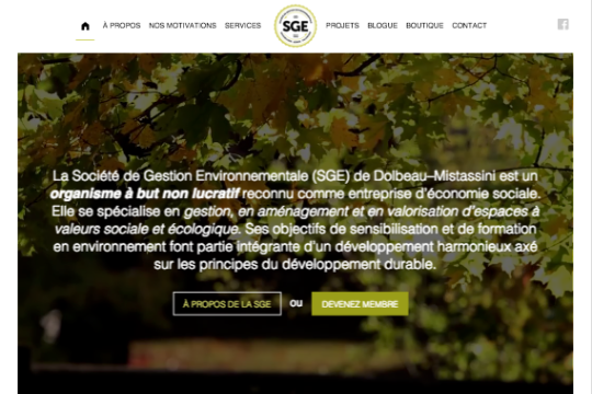 site profile thumbnail
