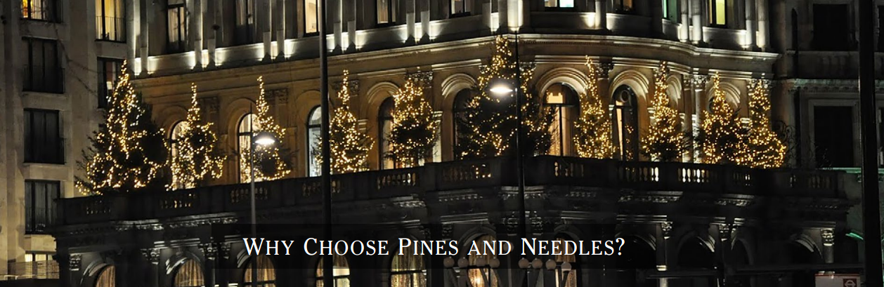54352729b5b770fc173c9259_Why-Choose-Pines-and-Needles.png