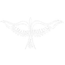 5502e49c5885f7ec108c8b45_logo-wings-white.png