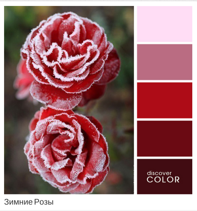 5511ce2d85ee5a8c5fbc3cc6_Screenshot%202015-03-24%20at%2016.19.25.png