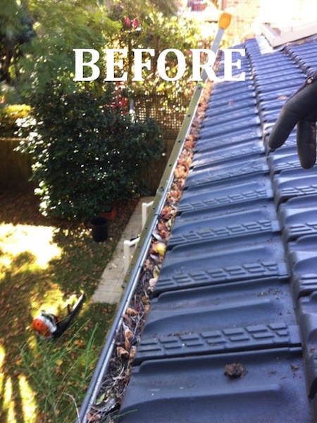 dirty gutters, before cleaning