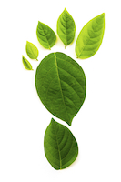 We strive to be kind to the environment