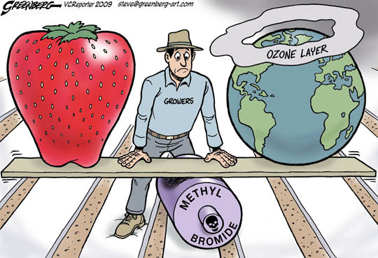 Methyl Bromide is less than ideal for slowing ozone layer depletion.