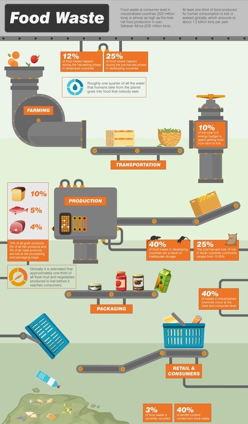 1. 'What can be done to reduce food waste?'