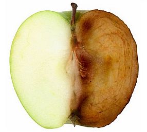 Apple with one half turned brown from oxidation