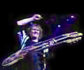 Chris Squire