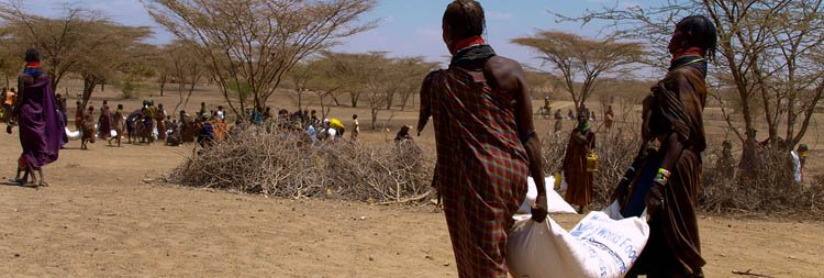 causes food crisis in africa