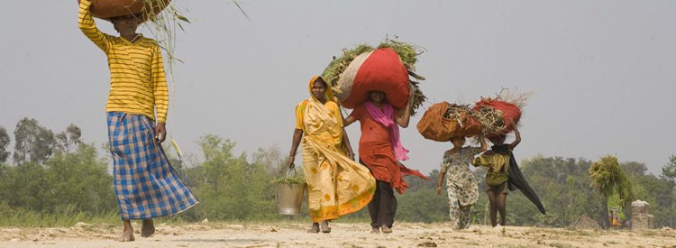 Landlessness & rural poverty in India