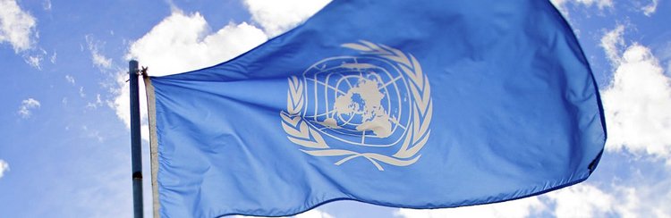 Millenium Development Goals in Asia
