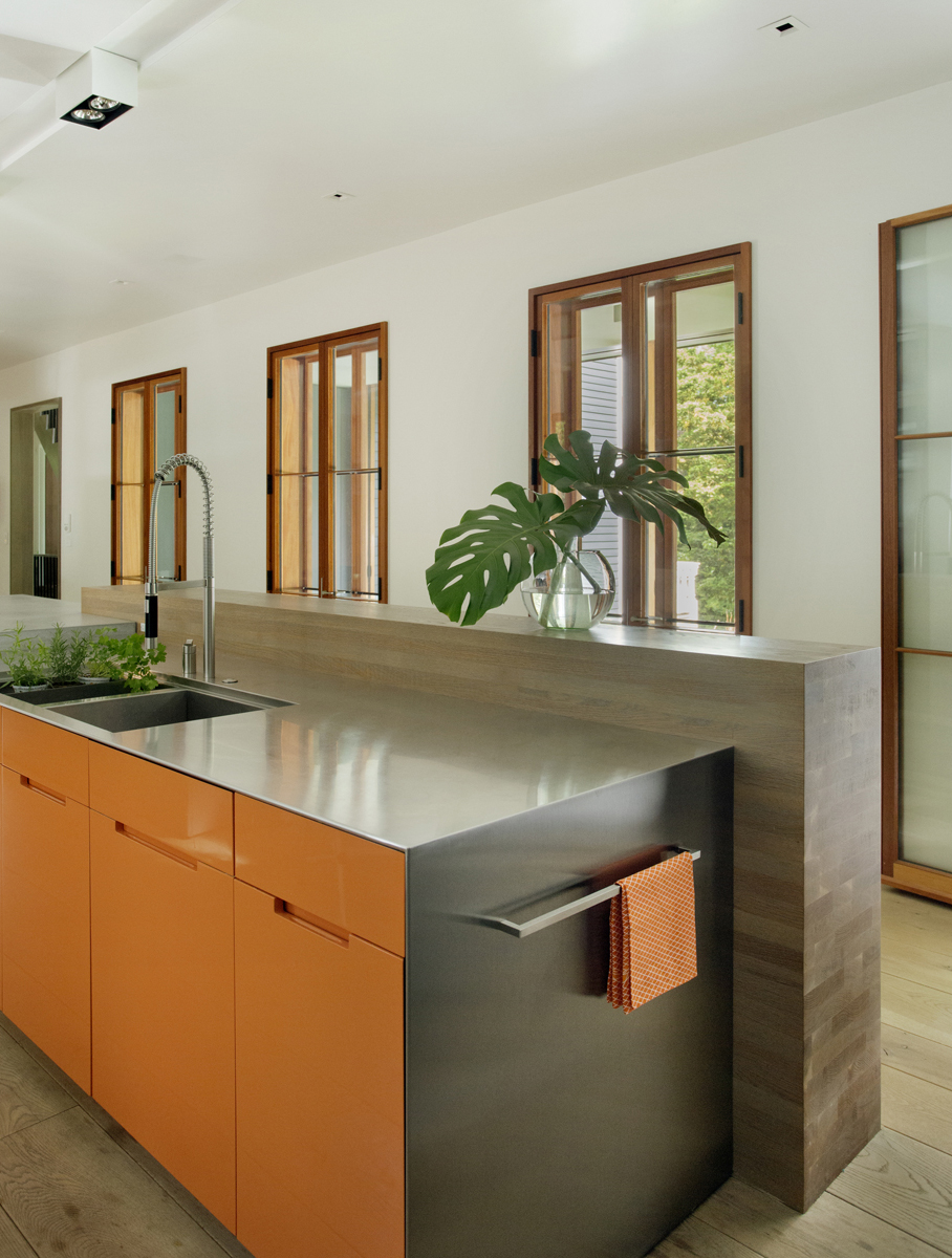 Boston Architects BUTZ + KLUG architecture, Brookline Renovation, Brookline Renovation