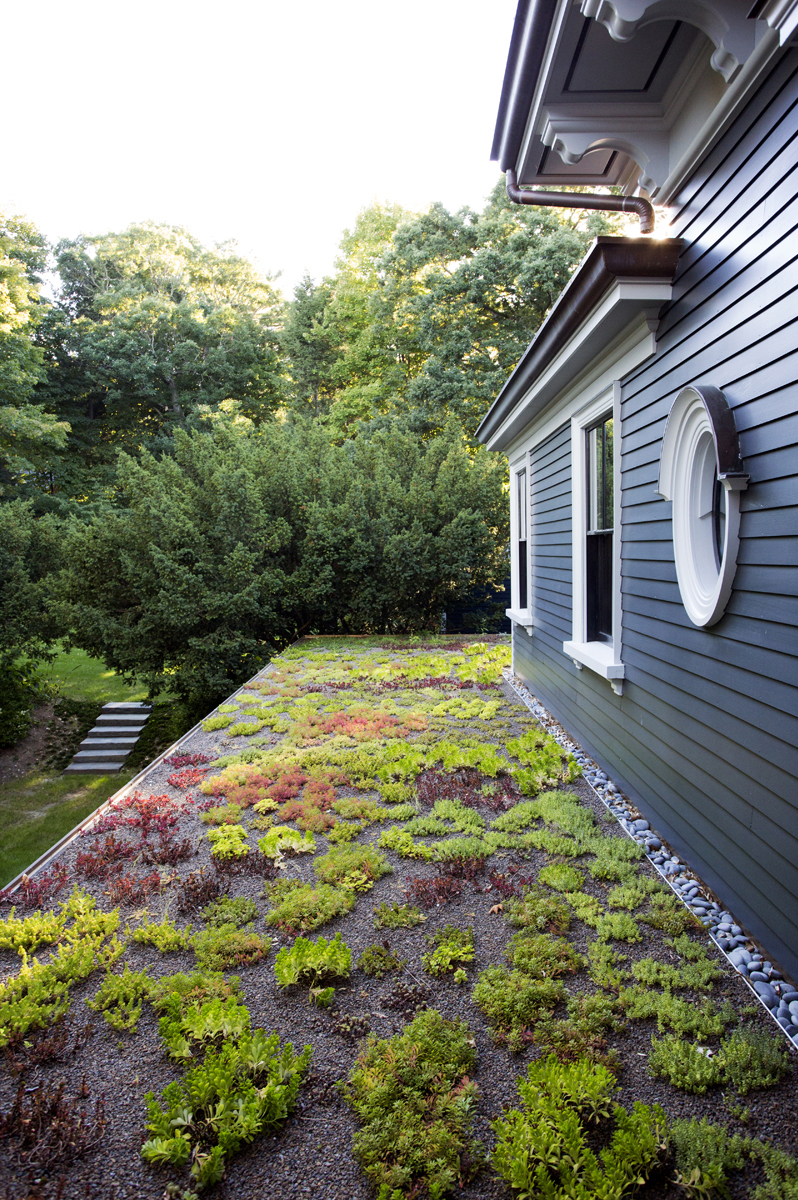 Boston Architects BUTZ + KLUG architecture, Brookline Renovation, Brookline Modern Renovation