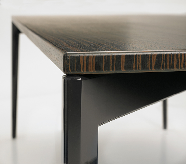 BUTZ + KLUG Architecture, Custom furniture, ebony table, detail