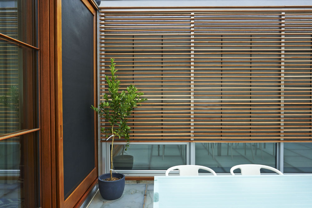 Boston Architects BUTZ + KLUG architecture Beacon Hill Courtyard