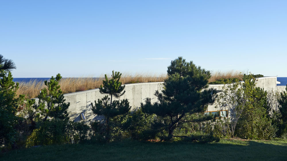 Boston Architects BUTZ + KLUG architecture, Pool House green roof, North Shore Gloucester MA