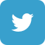 twitter icon