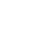chrome logo