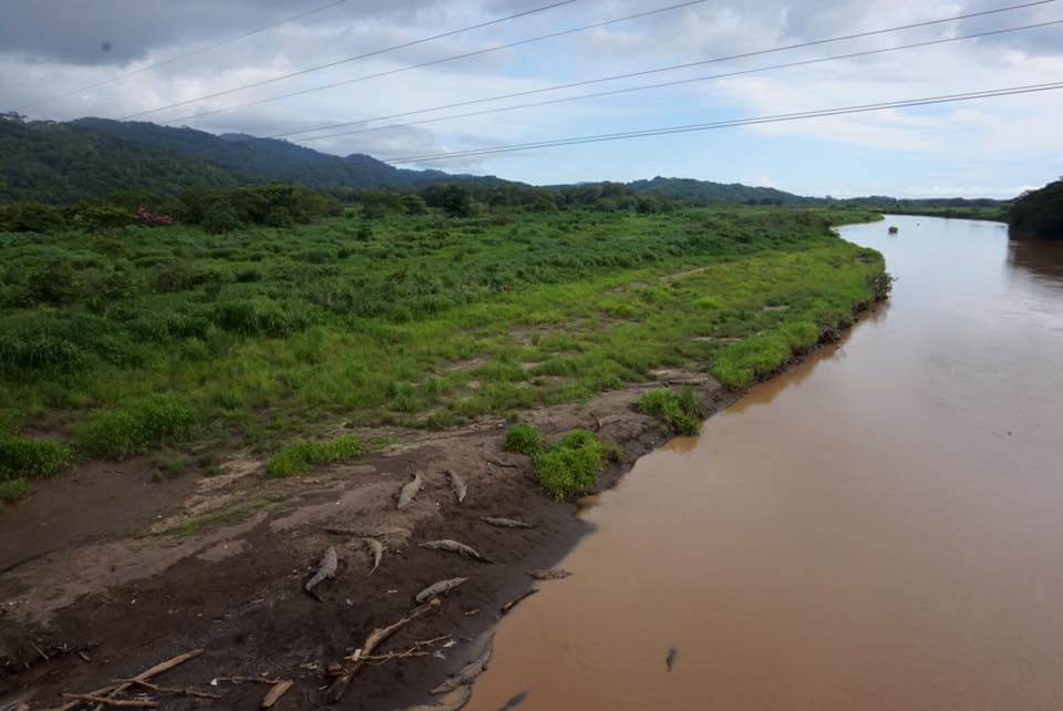 blog-explore-central-america-crocodile-bridge