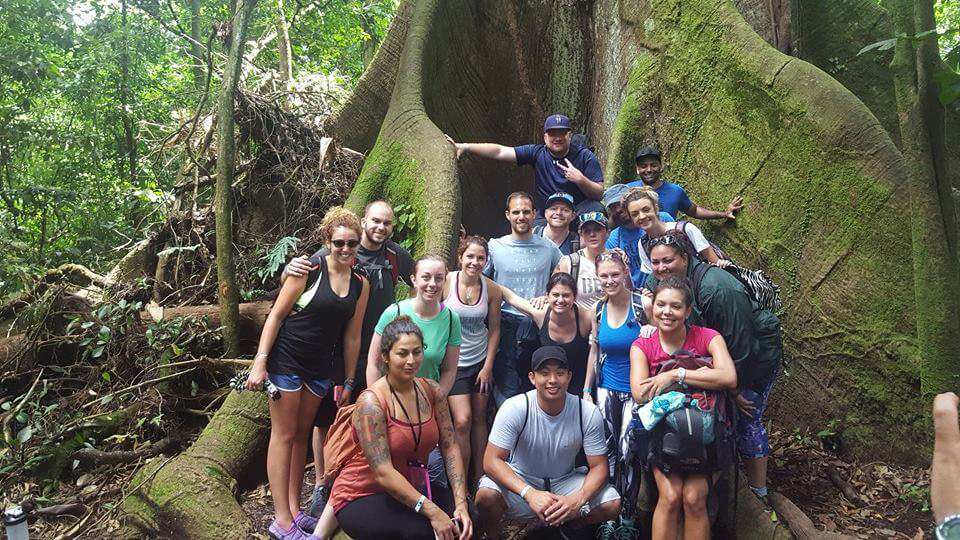 blog-explore-central-america-tree-of-life-arenal-volcano