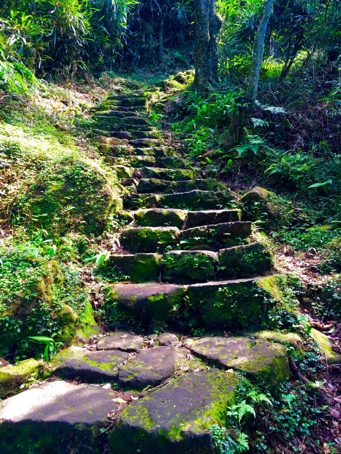 under30experiences-blog-24-hour-layover-hike-stairs