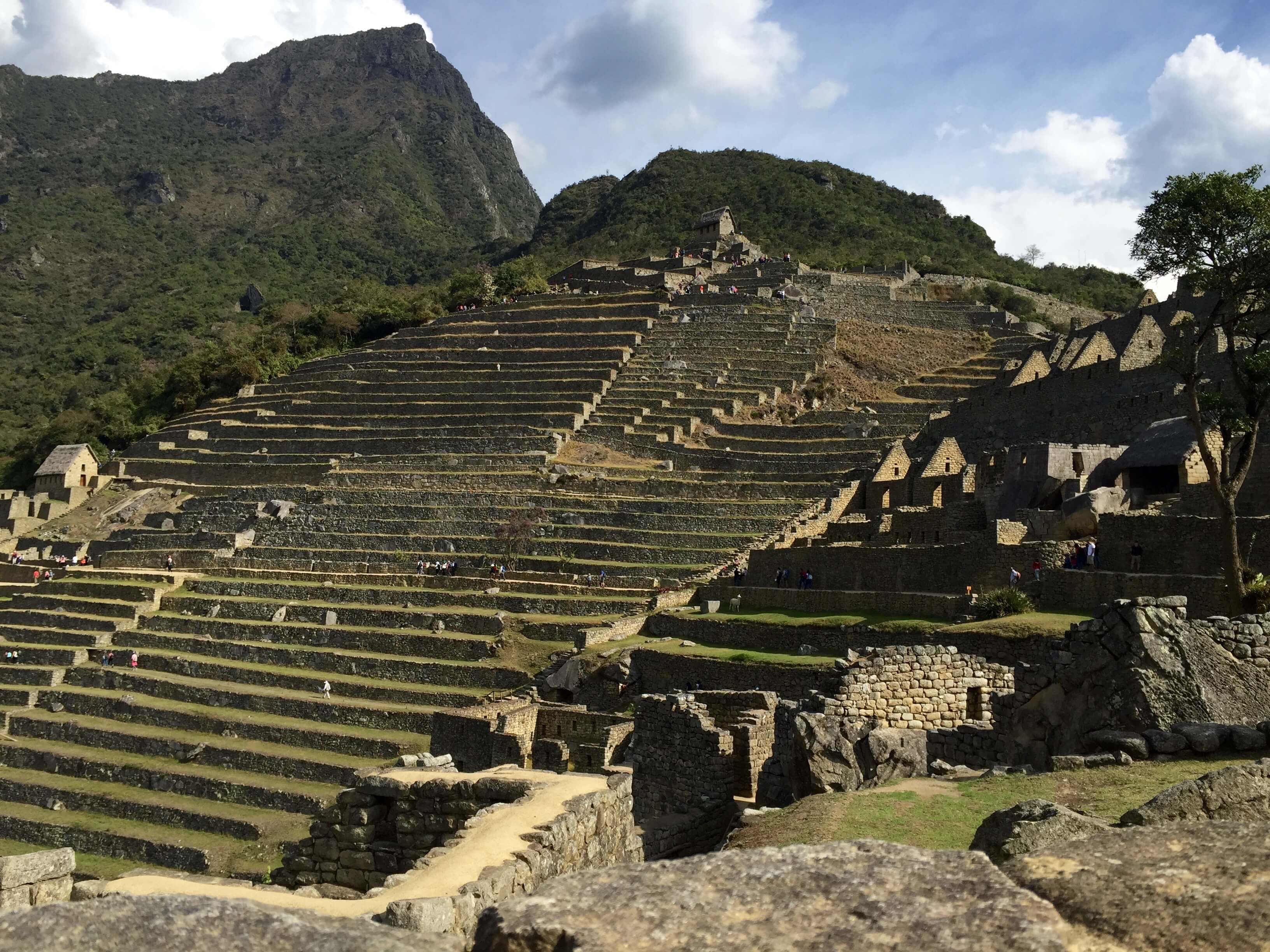 blog-10-facts-machu-picchu-terraces