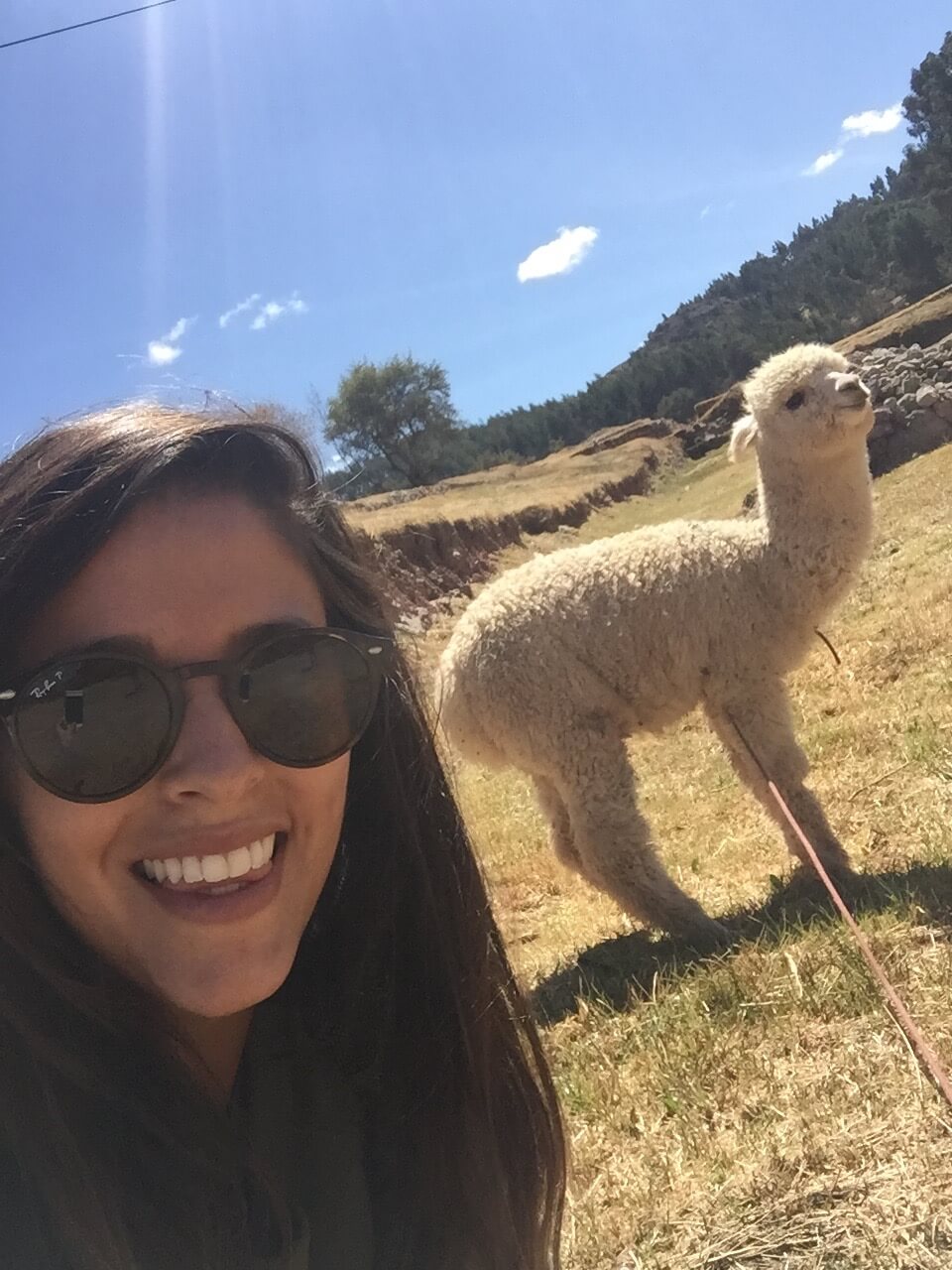 blog-peru-recap-selfie-alpaca