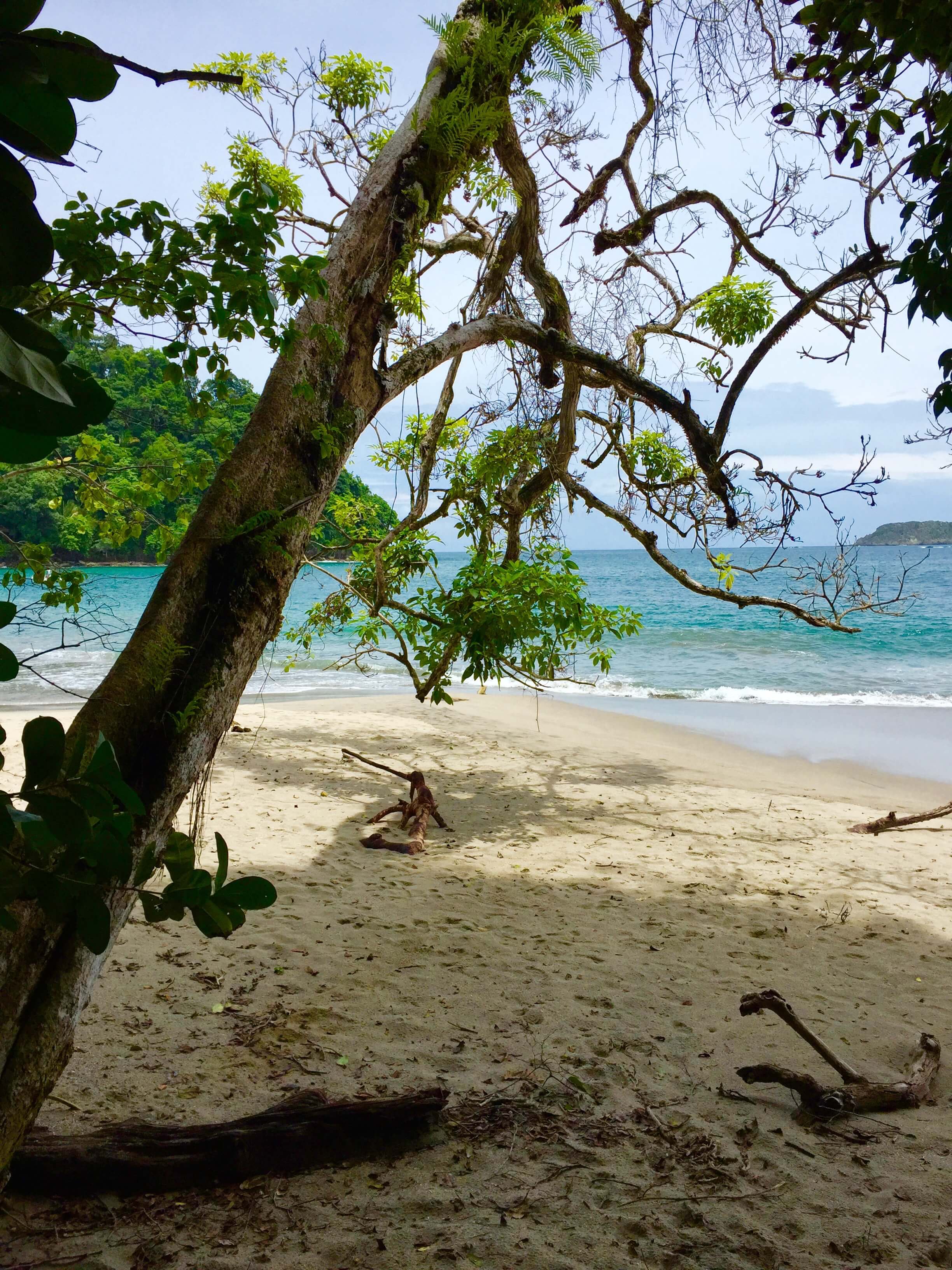 blog-costa-rica-9-days-manuel-antonio-national-park-beach