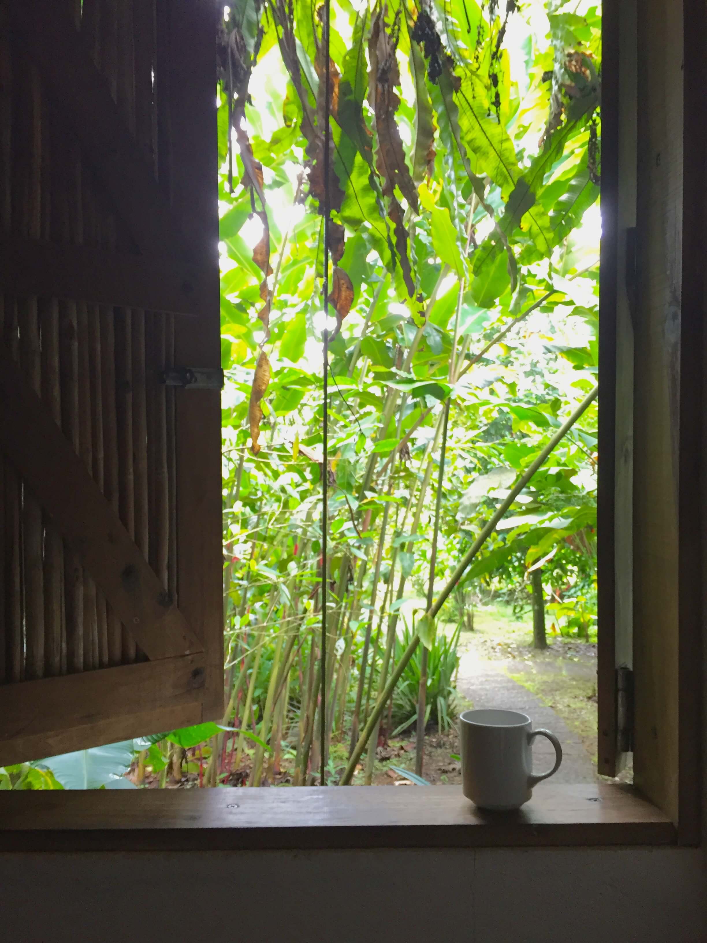 blog-costa-rica-9-days-rancho-margot-morning-view