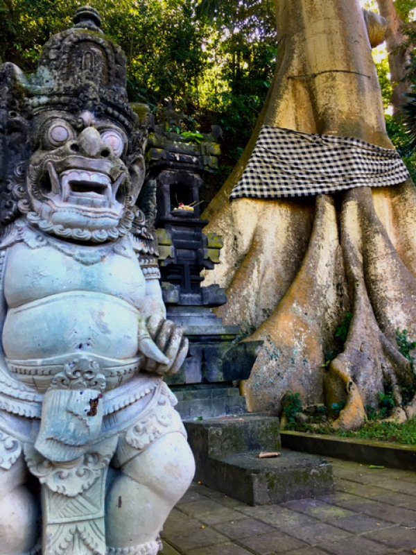 blog-Choose-Yourself-Today- New-Yoga-&-Life-Coaching-Retreat-in-Bali-tree-spirits