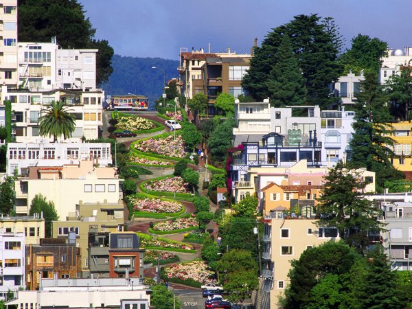 blog-Your-Guide-to-Exploring-San-Francisco-Without-Spending-a-Dime-lombard-street .jpg