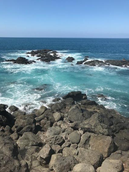 costa rica under30experiences beach