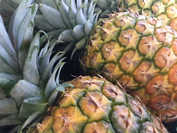 blog-The-Easiest-Wellness-Hacks-for-Traveling-pineapples