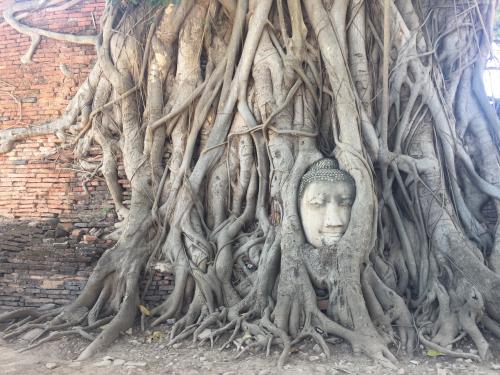 blog-The-City-of-Angels-Your-Bangkok-City-Guide-ancient-ruins.jpg