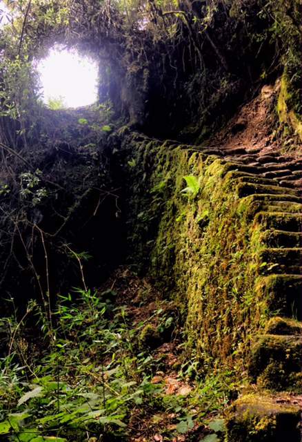inca-trail-hike
