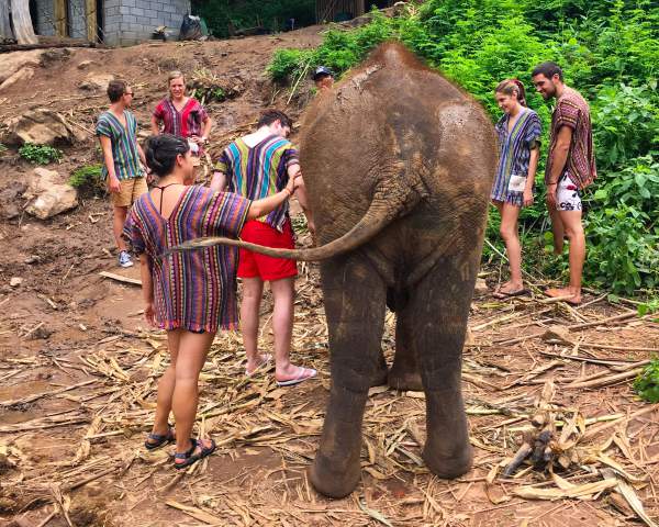 blog-Announcing-Our-Newest-Location-Thailand-elephants.jpg