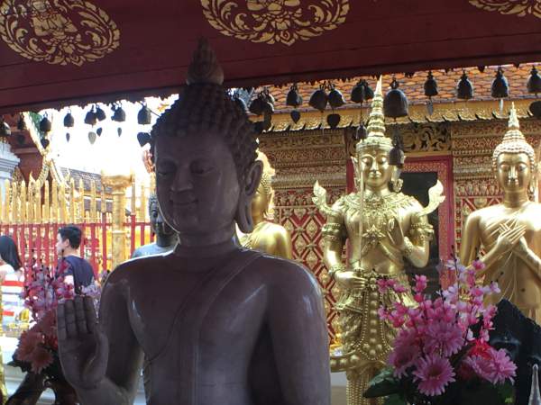 blog-Announcing-Our-Newest-Location-Thailand-chiang-mai.jpg