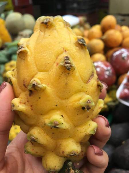 under30experiences-blog-15-dos-and-don'ts-while-traveling-in-medellin-exotic-fruit