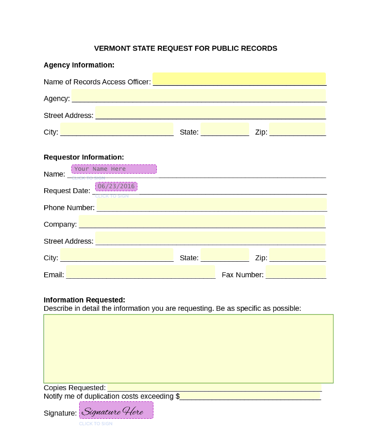 criminal record template