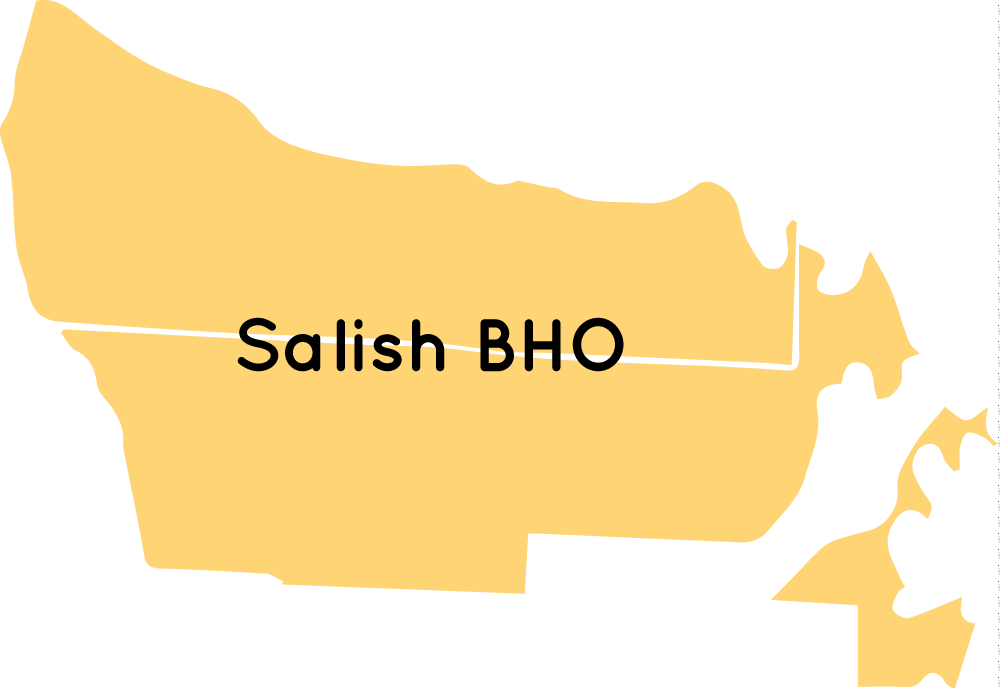 Fysprt Region outline