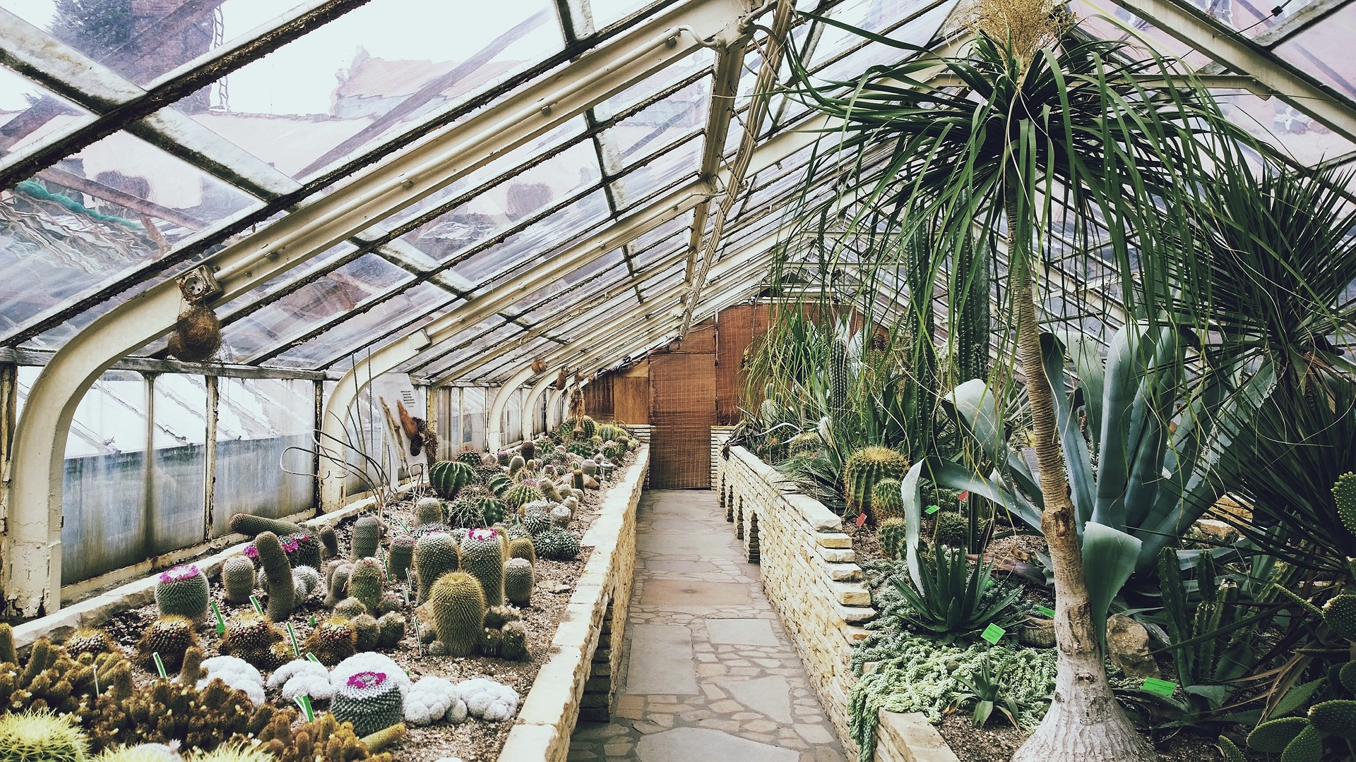 3 Urban Farming Companies On The Fast Track To Success