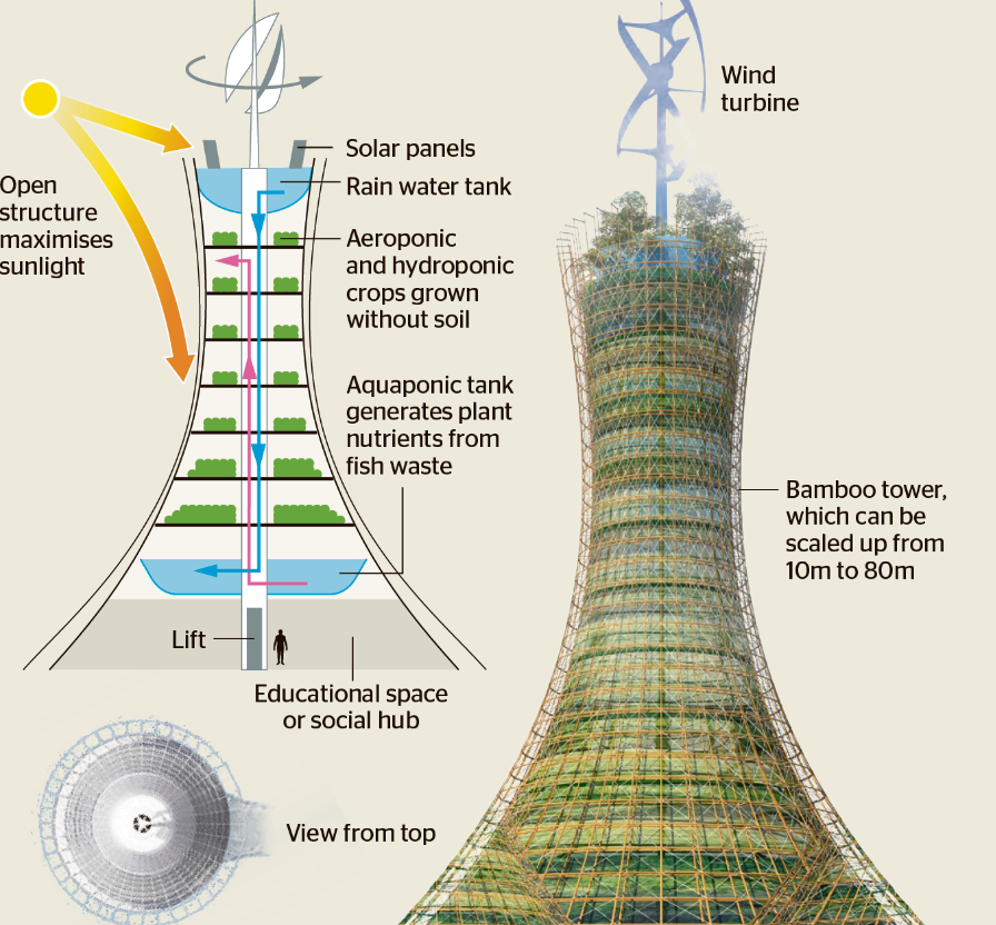 How does vertical farming work? (A Beginner's Guide)