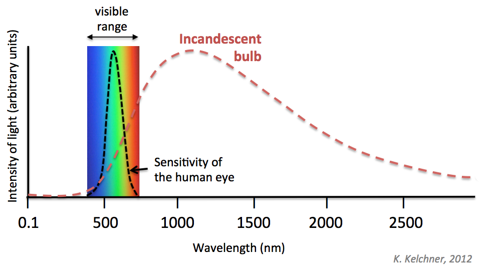 What Are The Main Types of Grow Lights? (A Simple Guide)