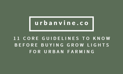 11 Core Guidelines To Know Before Buying Growlights