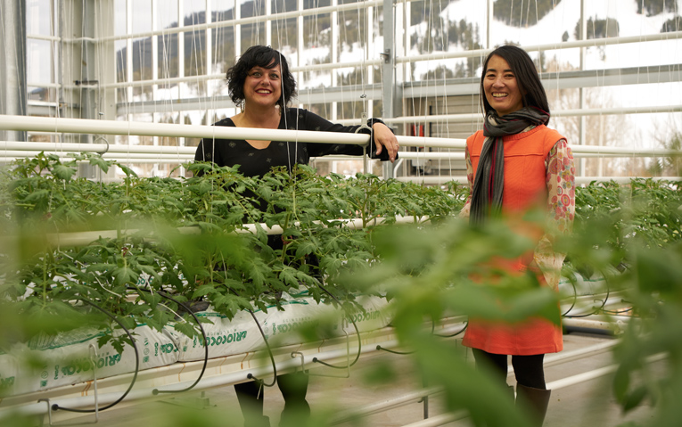 The Keys To Profitable Urban Farming: Penny McBride, Vertical Harvest
