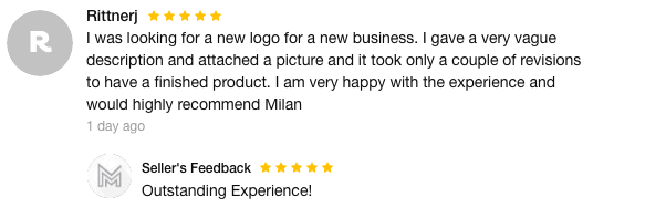 Fiverr logo designer review outlining how vague a description they were provided.