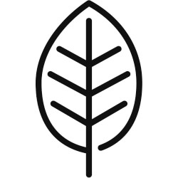 review and buying guide