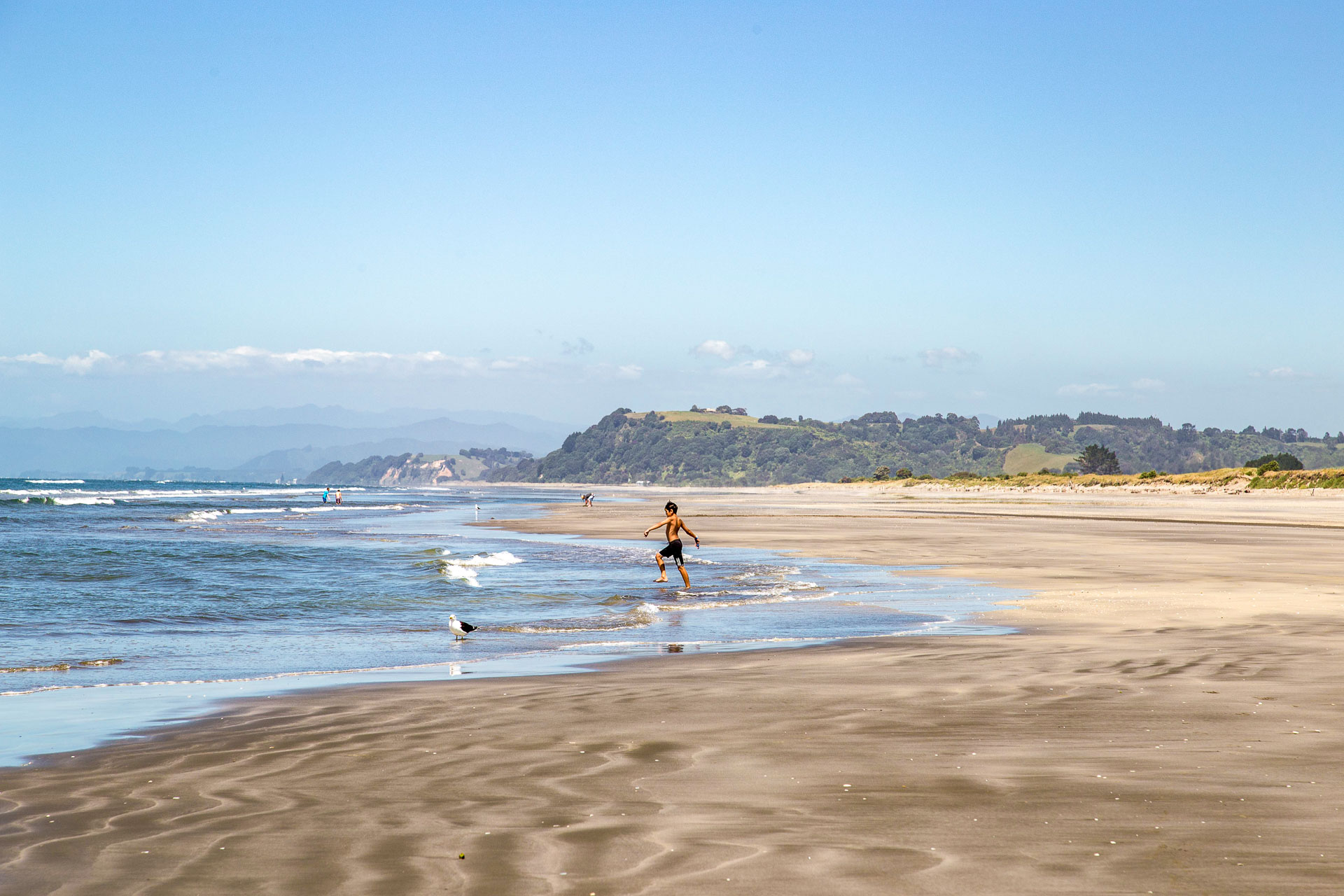 Ohope Beach TOP 10 Holiday Park NZ’s Best Beach