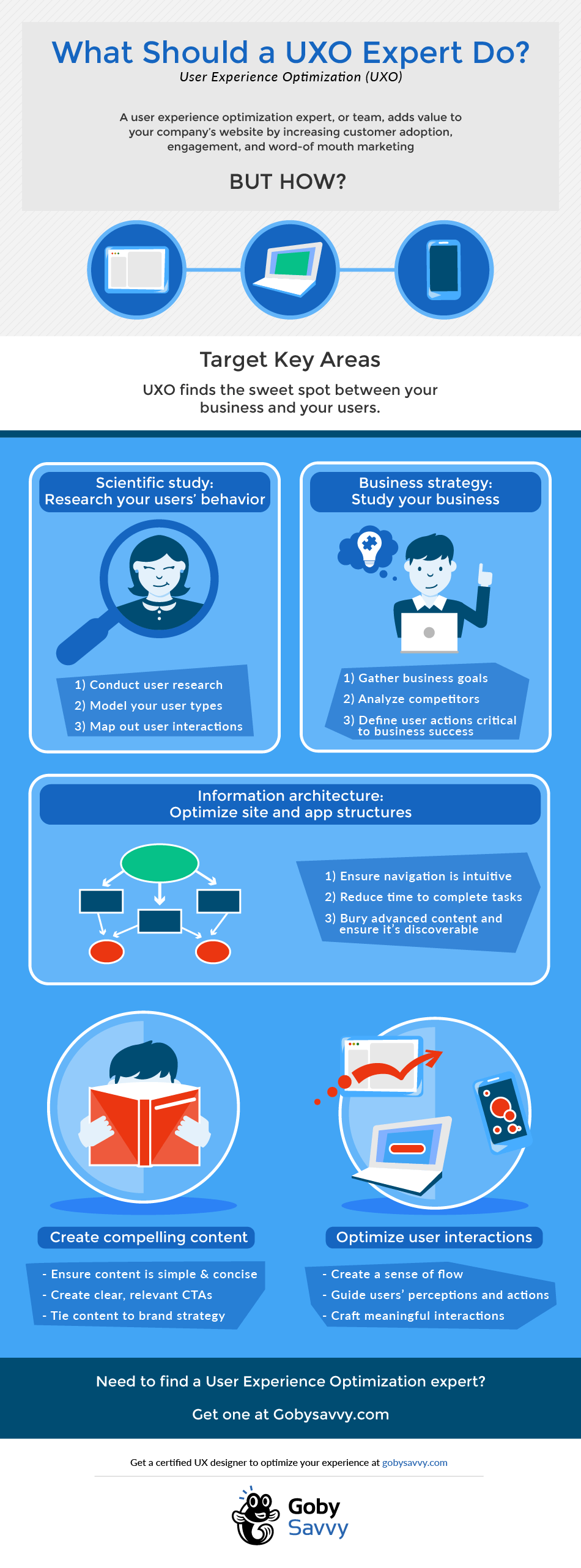 What a user experience expert should do