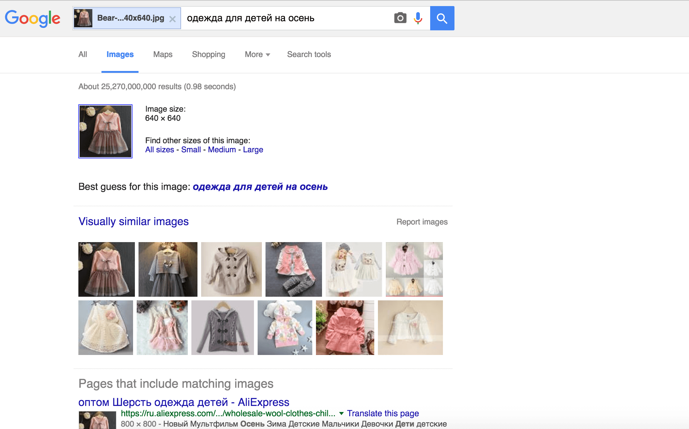 product search using google image search