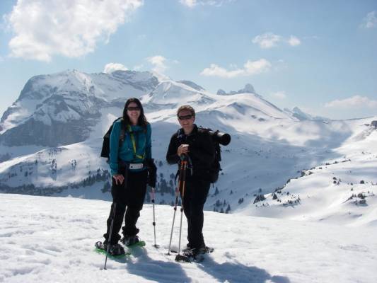 Springtime in the Alps